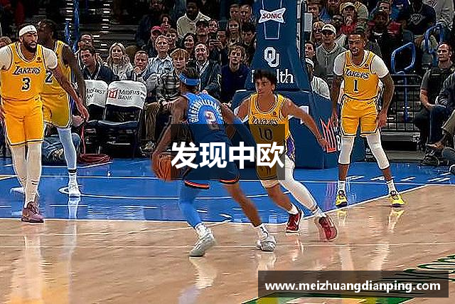发现中欧